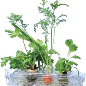 Sistema de jardinería interiorpequeñono necesita electricidaddurante todo el añocultivo hidropónico de la manera fácilpropagar y volver a crecer en Sistema de jardinería interiorpequeñono necesita electricidaddurante todo el añocultivo hidropónico de la manera fácilpropagar y volver a crecer en