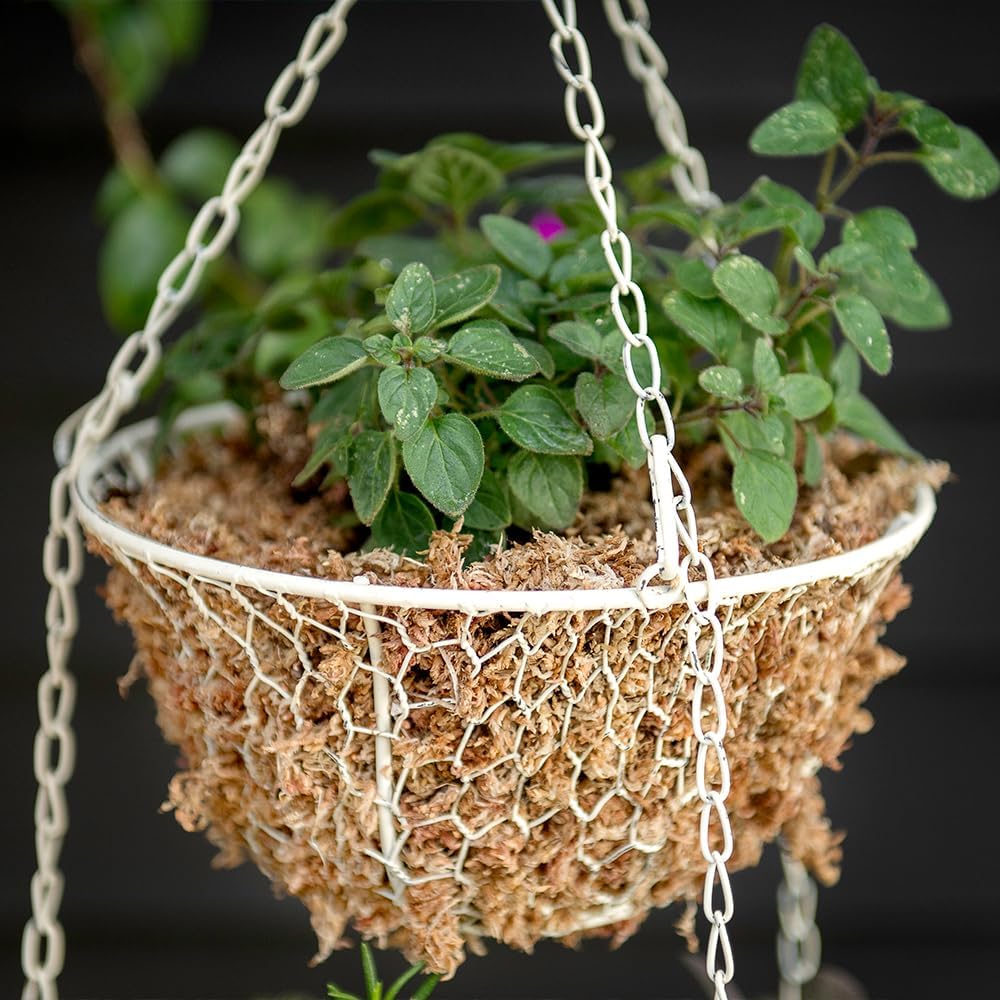 SuperMoss – Musgo seco para orquídea sphagnum seco