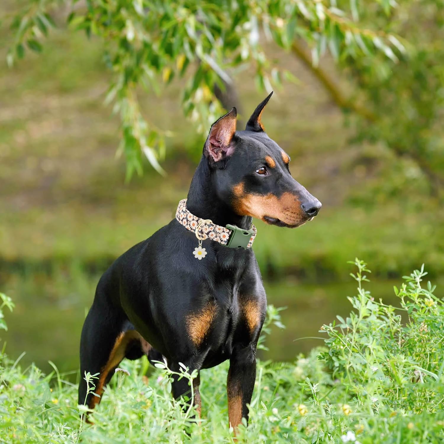 Lindo collar de algodón para perro, patrones de flores, collares suaves y ajustables para cachorros, para hembras pequeñas, medianas y grandes, con