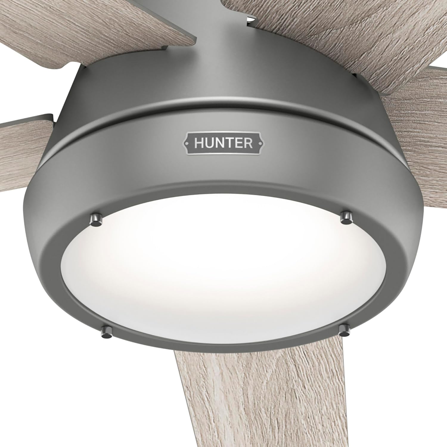 Hunter Fan Company 52423 Burroughs Ventilador de techo, 52 pulgadas, plateado mate