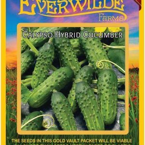 Everwilde Farms – 100 semillas de pepino híbrido Calypso – Paquete de semillas jumbo Gold Vault Everwilde Farms – 100 semillas de pepino híbrido Calypso – Paquete de semillas jumbo Gold Vault