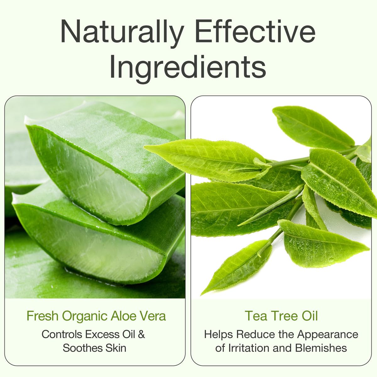 Aloderma Gel orgánico de aloe vera para la piel + aceite de árbol de té, fabricado dentro de las 12 horas de la cosecha, gel de aloe vera puro