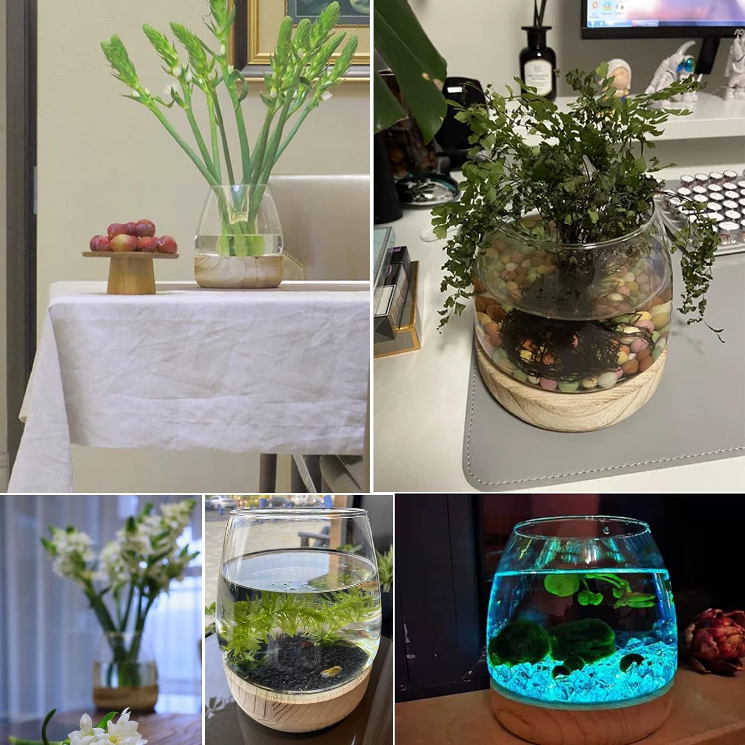 Jarrón de vidrio con base de madera desmontable, pequeño jarrón de vidrio de escritorio para plantas hidropónicas, terrario ecológico, acuario,