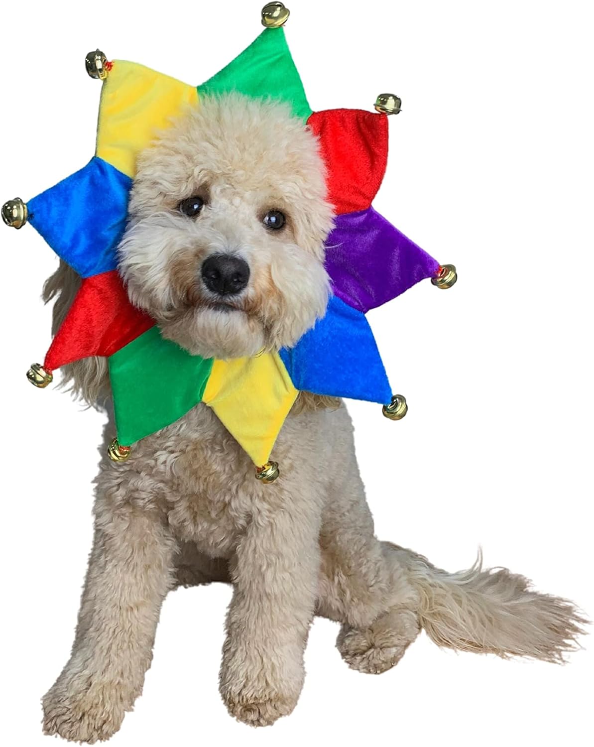 ComfyCamper Disfraz de payaso bufón para perro pequeño, mediano y grande, cachorro, gato, gatito, disfraces lindos y accesorios de ropa  Collar para