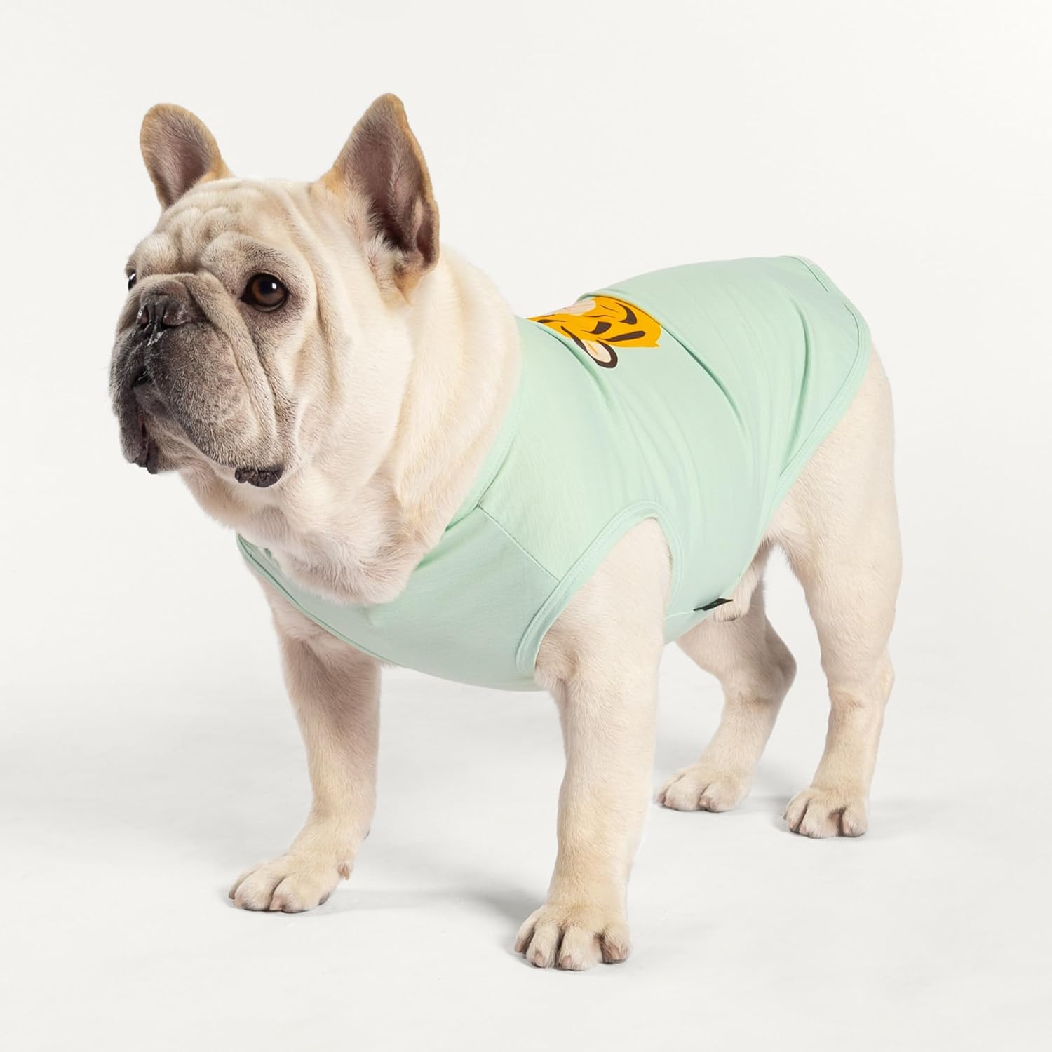 Fitwarm Paquete de 4 camisas de perro de tigre, ropa de verano para perros pequeños, niños y niñas, camiseta divertida para perro, atuendo para