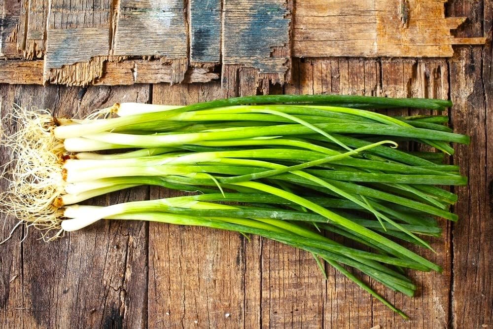 Cebolletas verdes en agrupamiento de cebolletas alrededor de 250 semillas sin OMG para plantar