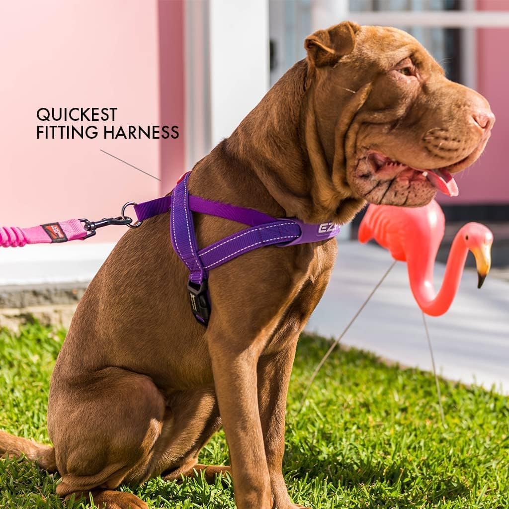 Arnés ajustable para perro de EzyDog, S, Anaranjado