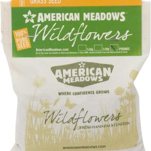 American Meadows Mezcla de semillas de césped de micro trébol alternativa de césped especialmente mezclada, bajo mantenimiento, gran cubierta de American Meadows Mezcla de semillas de césped de micro trébol alternativa de césped especialmente mezclada, bajo mantenimiento, gran cubierta de