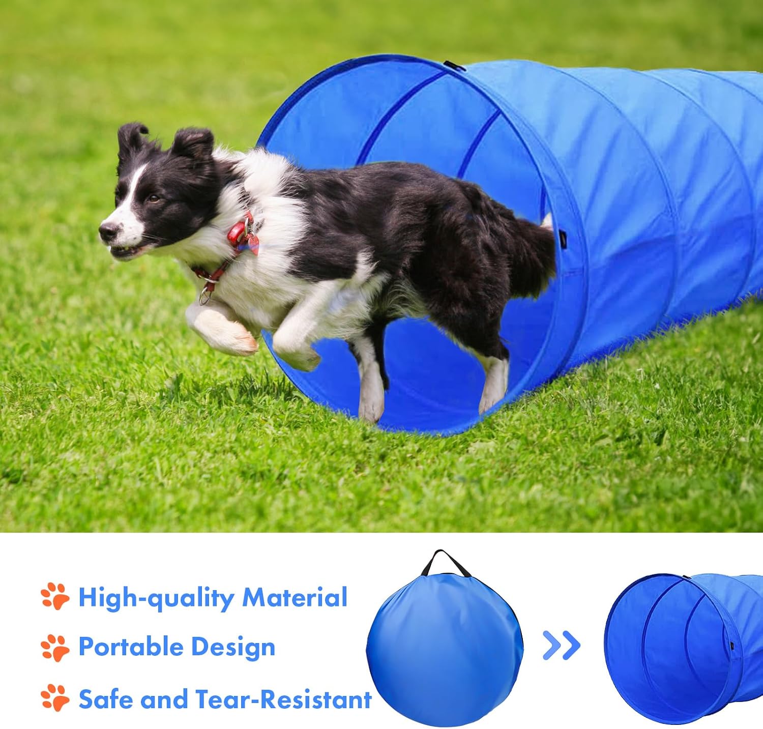 Juego de curso de agilidad para perros en el patio trasero, equipo de entrenamiento de agilidad para perros en interiores y exteriores, kit de