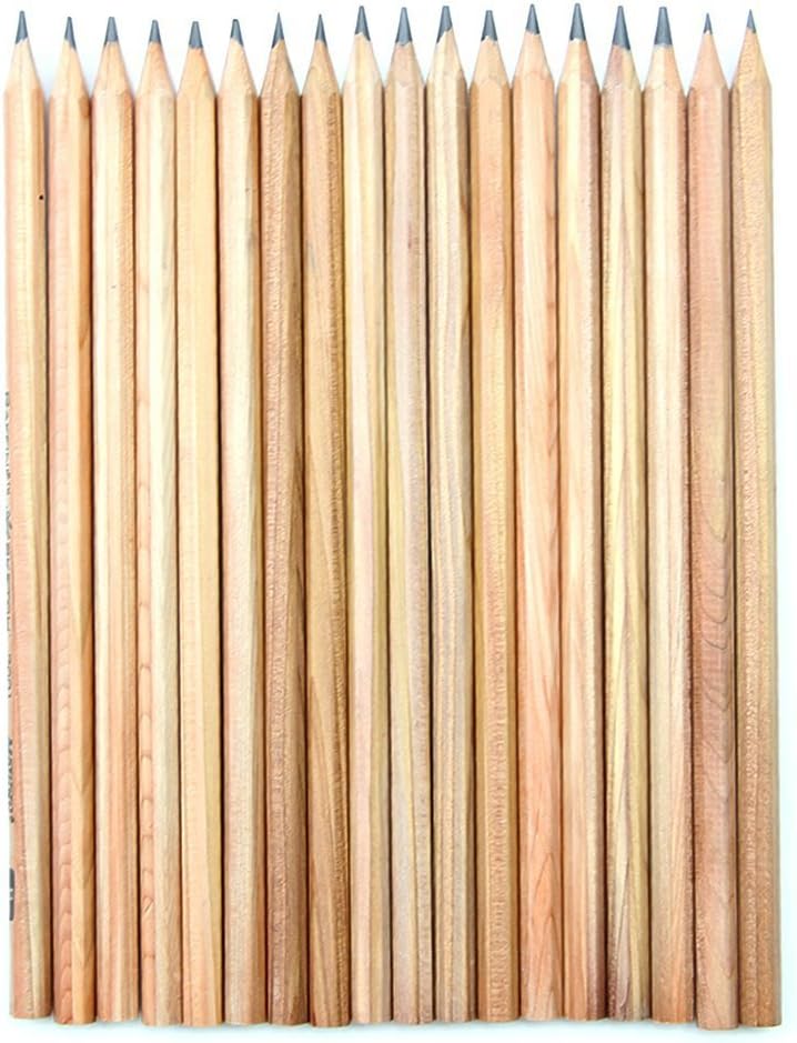 Finex Lápices de bocetos premium de 18 piezas, borrador, cuchillo, extensor, lápiz de papel, juego de dibujo con bolsa