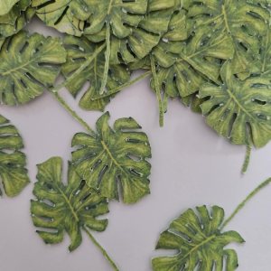 Monstera Leaf Confetti, Green Leaf Craft, Nature Craft Monstera Leaf Confetti, Green Leaf Craft, Nature Craft