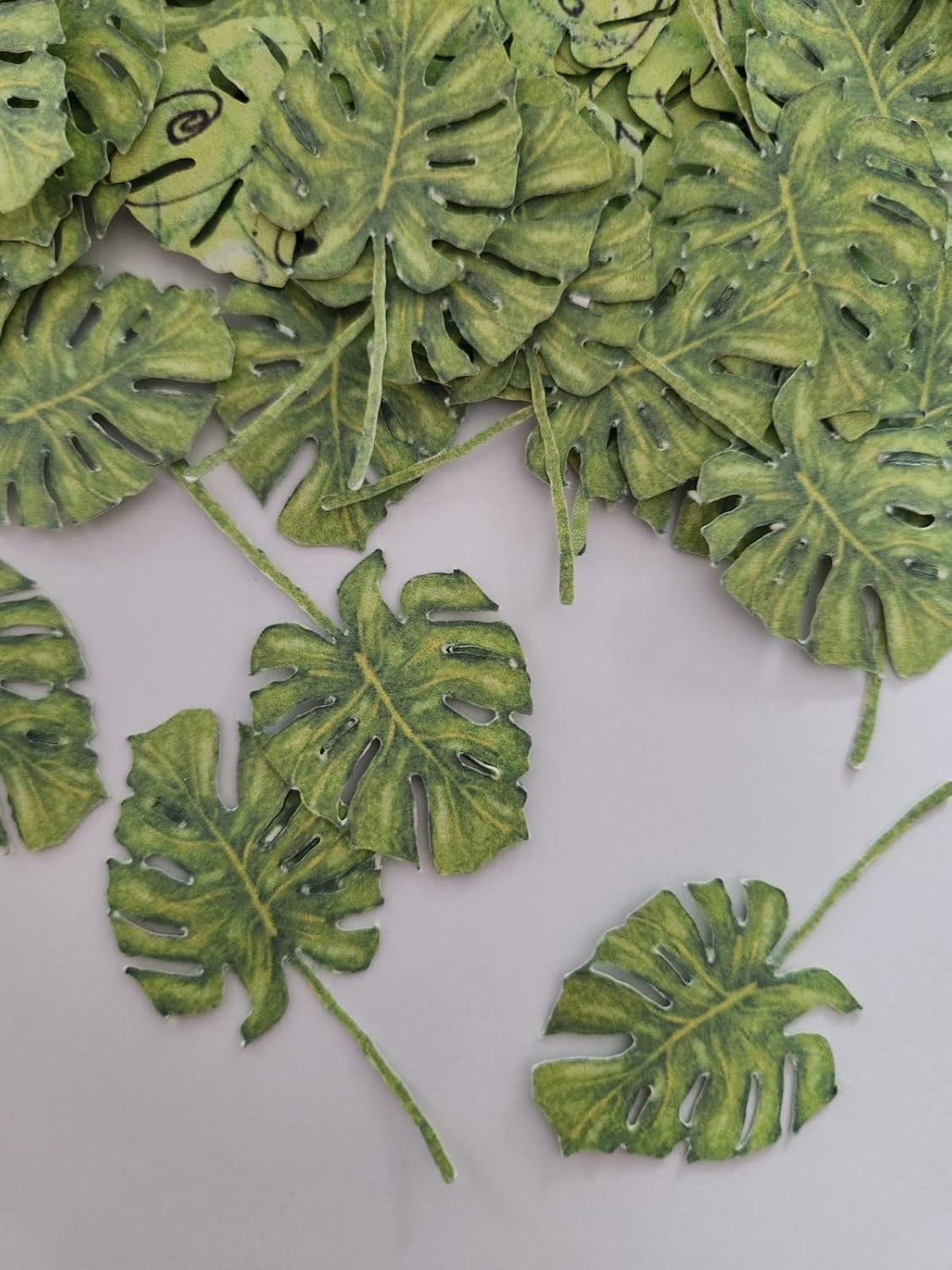 Monstera Leaf Confetti, Green Leaf Craft, Nature Craft