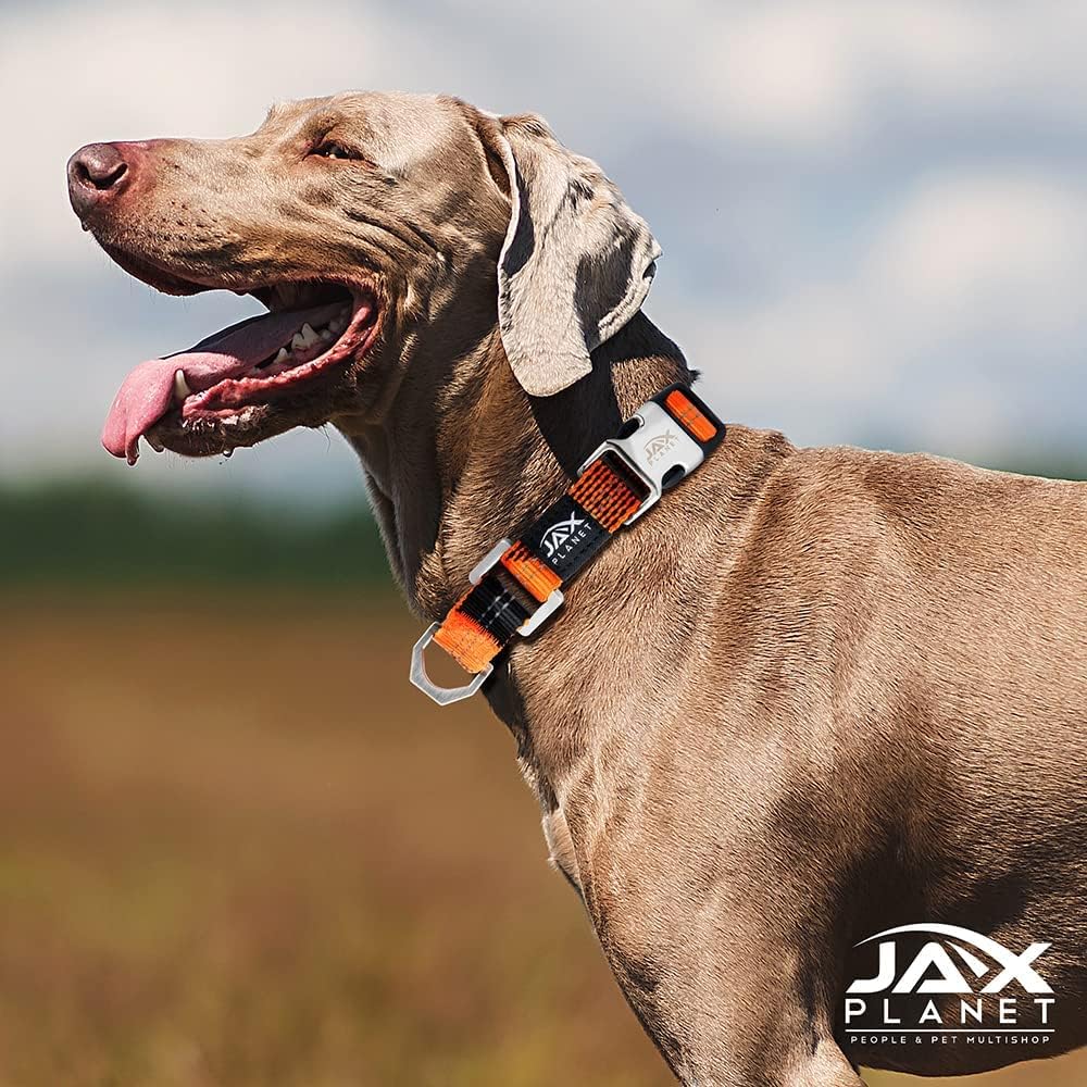Collar de Martingala colorido para entrenamiento de perros, collar reflectante seguro y humano para entrenamiento sin tirones, caminar, anillo en D