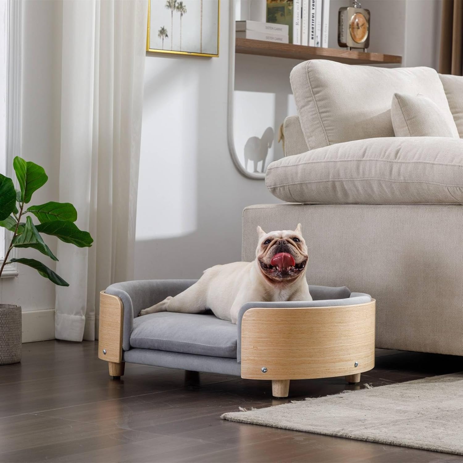 Cama de terciopelo para perro, sofá para mascotas con patas de madera maciza y respaldo de madera doblada, cojín resistente a las manchas en varios