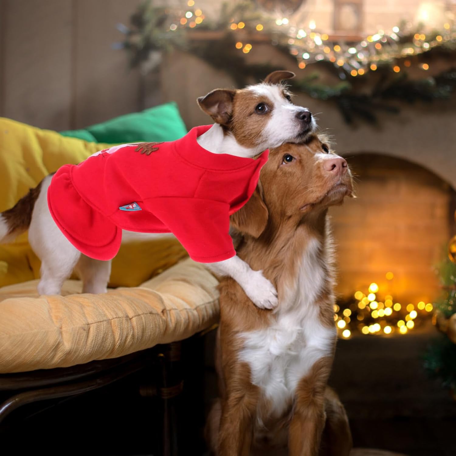 POPETPOP Vestido de Navidad para perro, falda de disfraz de Navidad para mascotas, ropa para perro, ropa de invierno cálido para perro, ropa de