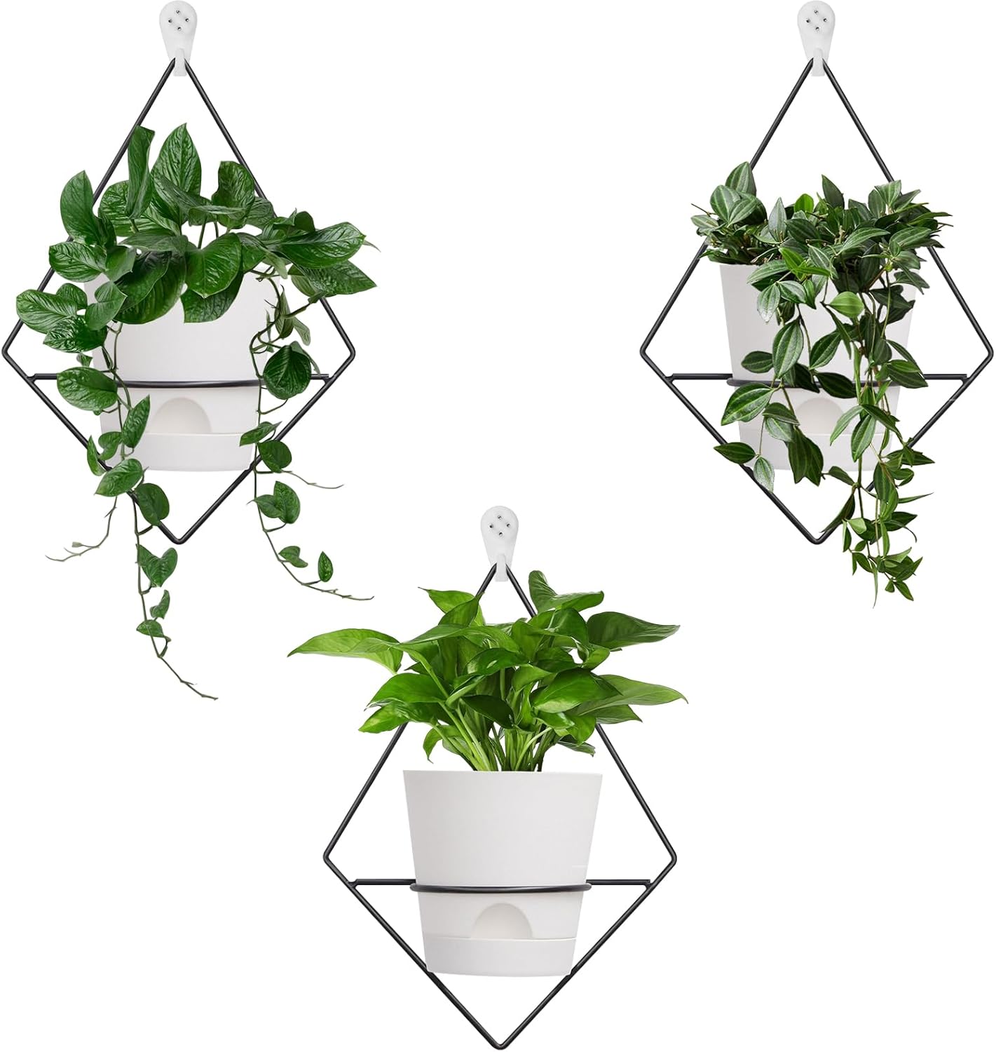 3 juegos de macetas de pared para plantas de interior, maceta colgante de pared con soporte de metal negro, macetas geométricas de pared con riego