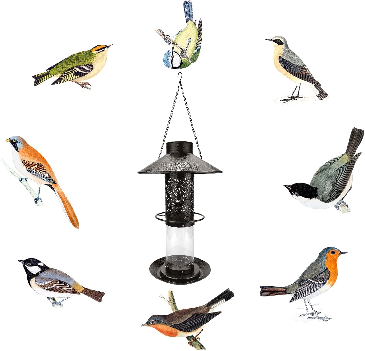 MIXXIDEA Comedero solar para pájaros silvestres, resistente al agua, alimentador de pájaros con energía solar, farol de jardín, comederos para