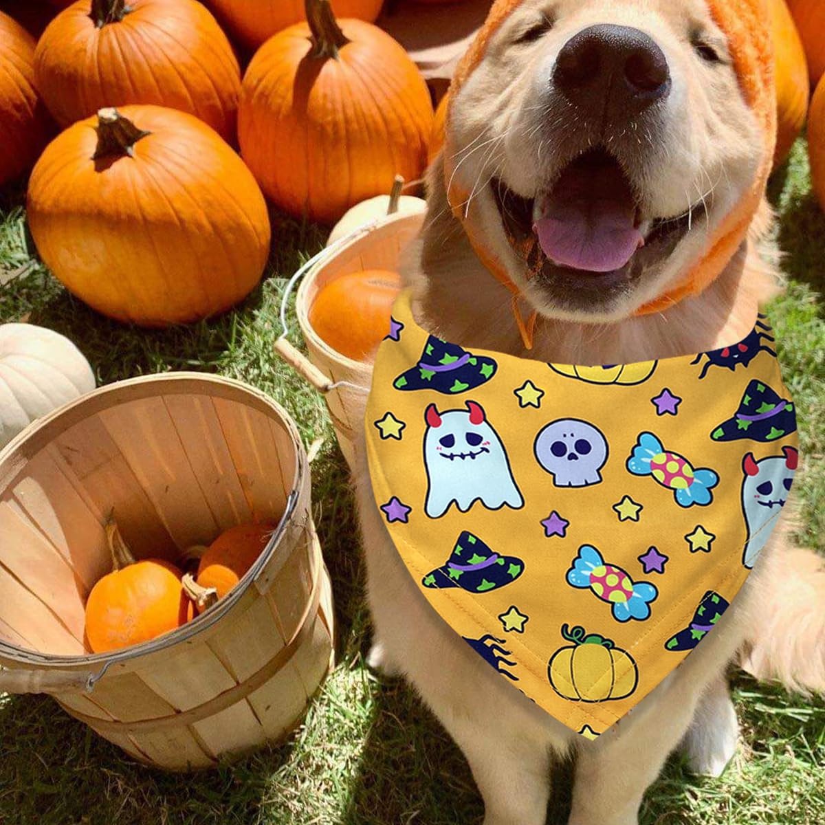 Bandanas de Halloween para perro, paquete de 2 múltiples patrones adorables con temática de Halloween, bufanda de tela duradera para mascotas,
