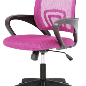 PayLessHere Silla de oficina en casa, silla de escritorio, silla ergonómica ajustable, soporte lumbar, reposabrazos ejecutivo con malla de alta PayLessHere Silla de oficina en casa, silla de escritorio, silla ergonómica ajustable, soporte lumbar, reposabrazos ejecutivo con malla de alta