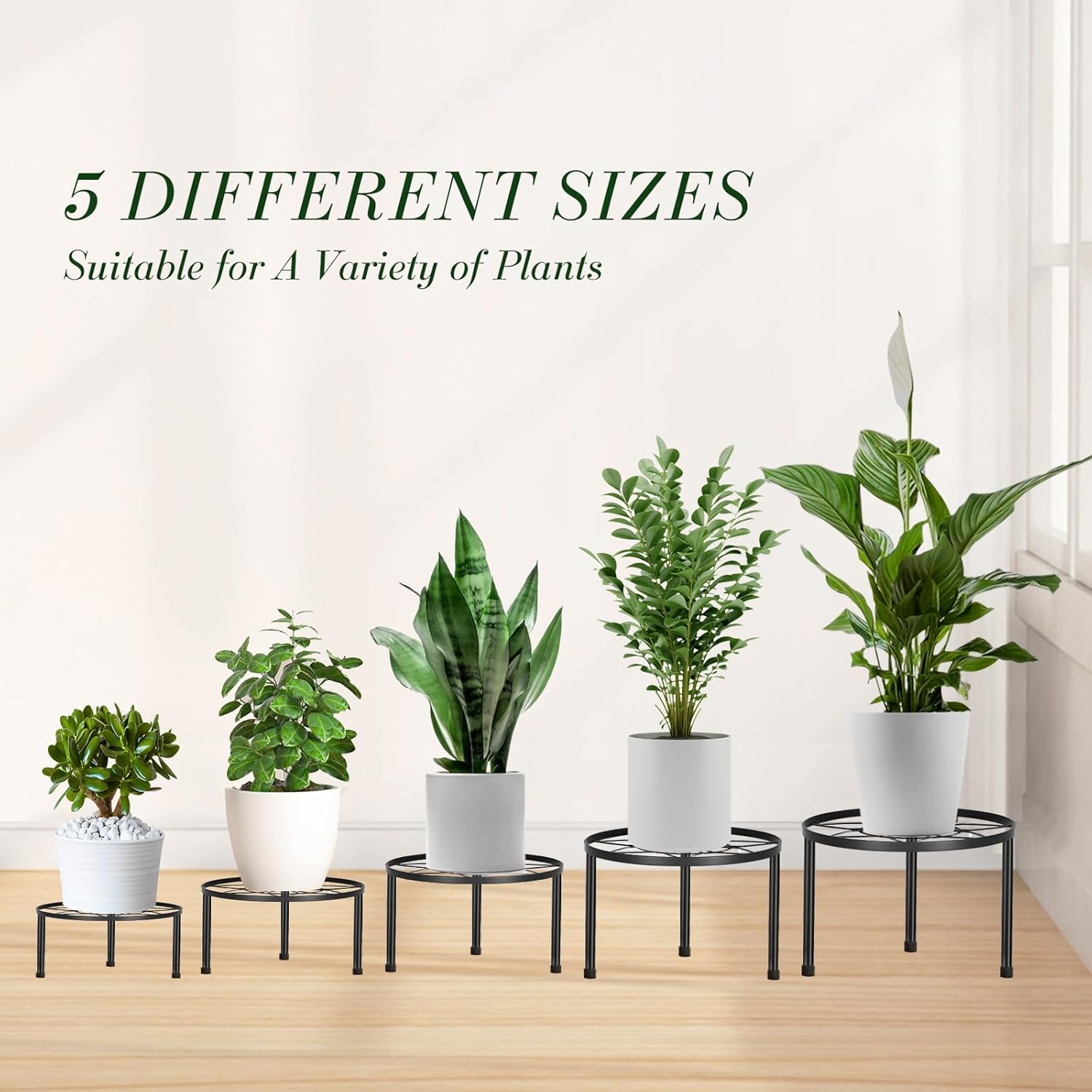 Paquete de 5 soportes de metal para múltiples plantas, soportes resistentes para macetas para plantas de interior y exterior, estante redondo de