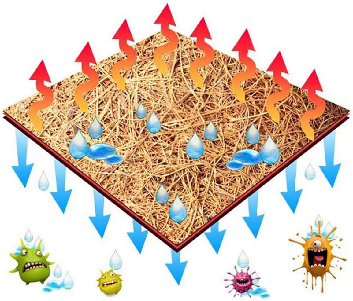 PIVBY Alfombra de fibra de coco natural para reptiles de fibra de coco para lagartos, tortugas, serpientes, iguana