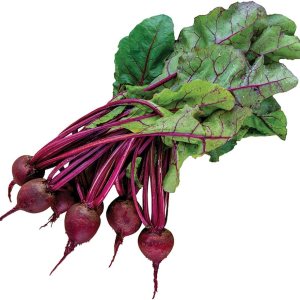 Burpee Detroit Dark Red Semillas de Remolacha Media 500 semillas Burpee Detroit Dark Red Semillas de Remolacha Media 500 semillas