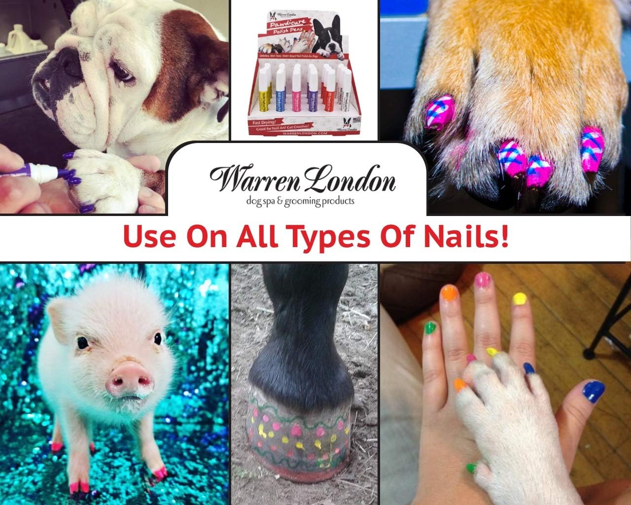 Lápiz de pedicura Warren London Pawdicure, esmalte de uñas para perro, paquete de de 1, Azul