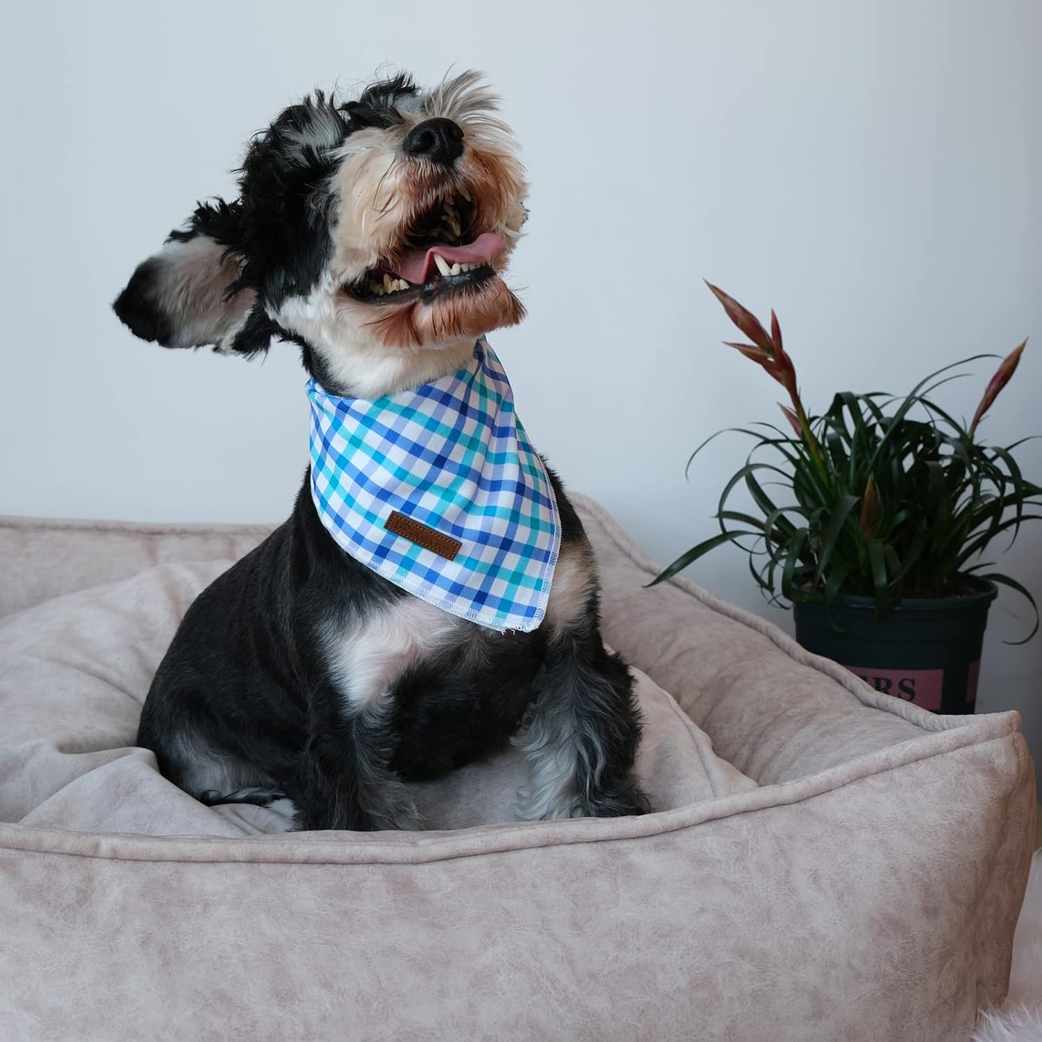 UP URARA PUP Bandana de verano para perro, cómoda bufanda triangular de algodón para perros medianos y grandes, pañuelo lavable para perros machos y