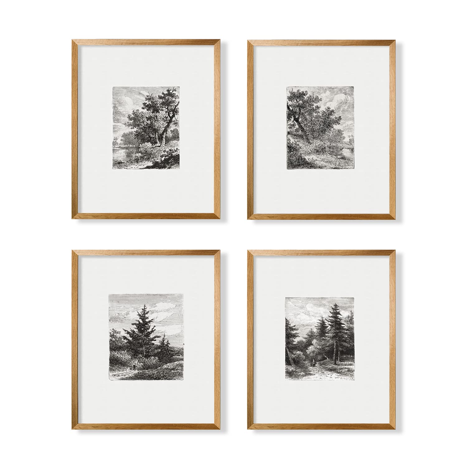 Tree Sketch Neutral Wall Art Picture Poster Print  Vintage Farmhouse Wall Art Decor  Boho French Country Kitchen Bathroom Bedroom  Woodland