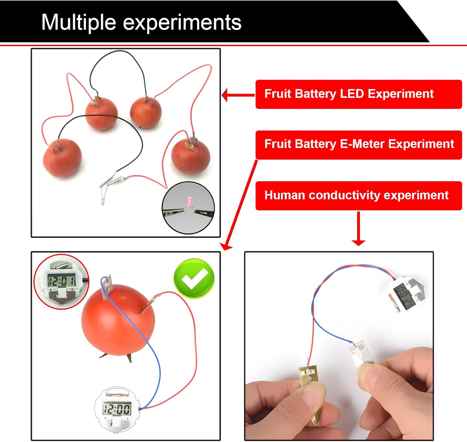 EUDAX Kit de experimento científico de batería de frutas con reloj electrónico y LED RGB para bricolaje juguete de enseñanza en casa, proyecto de