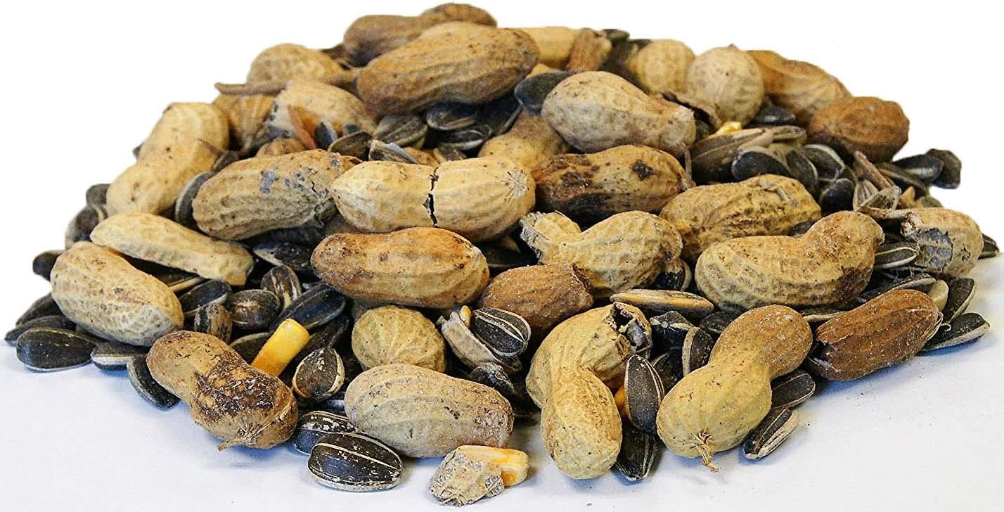 Backyard Seeds Squirrel & Friends Wildlife – Mezcla de alimentos de ardilla y ardilla, 8 libras