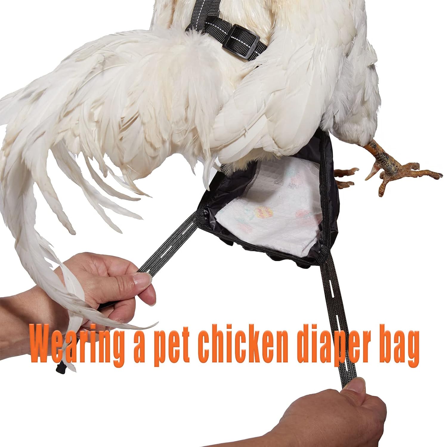 Arnés de pollo tamaño gallina con correa a juego de 6 pies lavable para mascotas, para pollitos, gansos, patos y más – Facilita el entrenamiento y