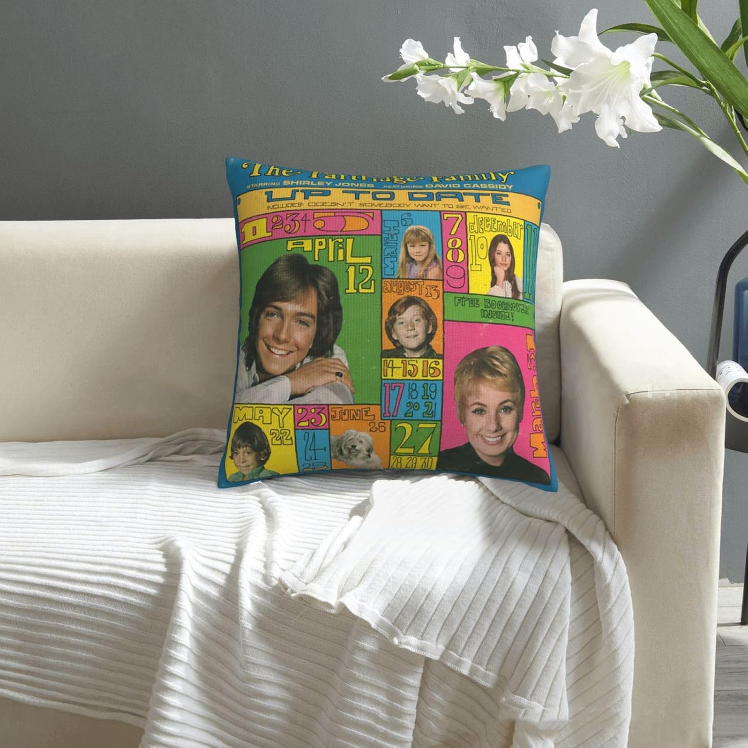 David Actor Cassidy – Fundas de almohada de 18 x 18 pulgadas, funda de almohada para exteriores para decoración de sofá