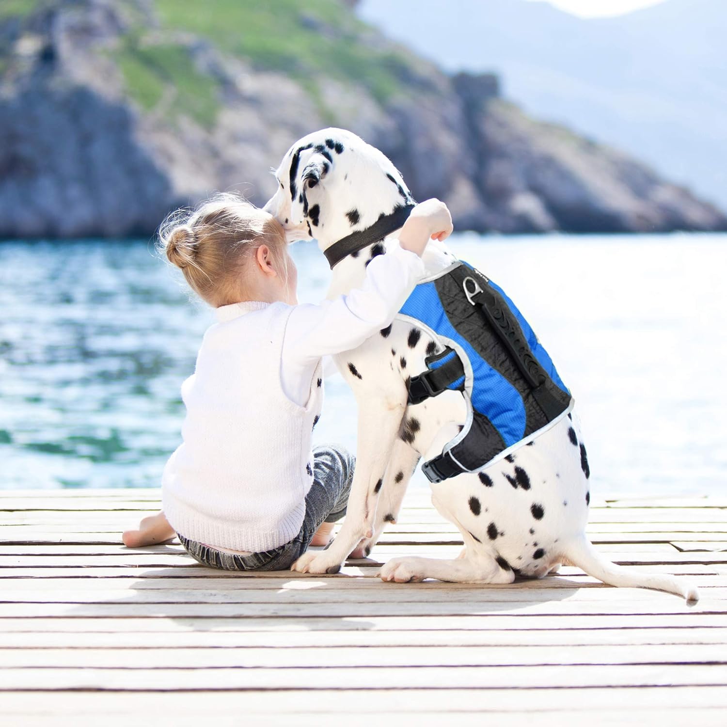 Peak Pooch – Arnés para perro sin tirones – Chaleco acolchado de tela de malla con ribete reflectante, asas de elevación, correas de velcro y