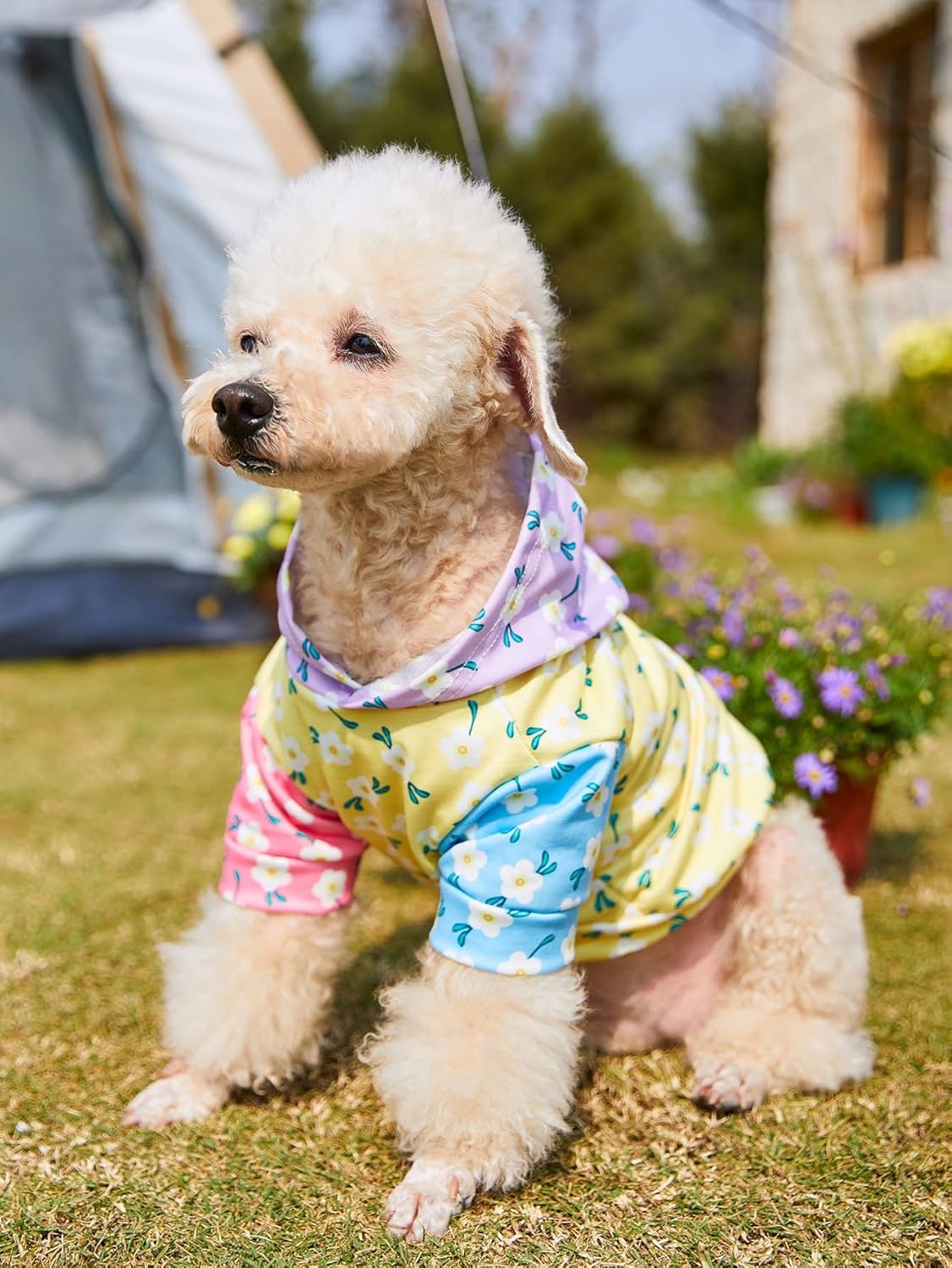 QWINEE Camisa con estampado floral para perro, ropa para cachorros, sudadera suave con capucha para gatos, ropa transpirable para mascotas para
