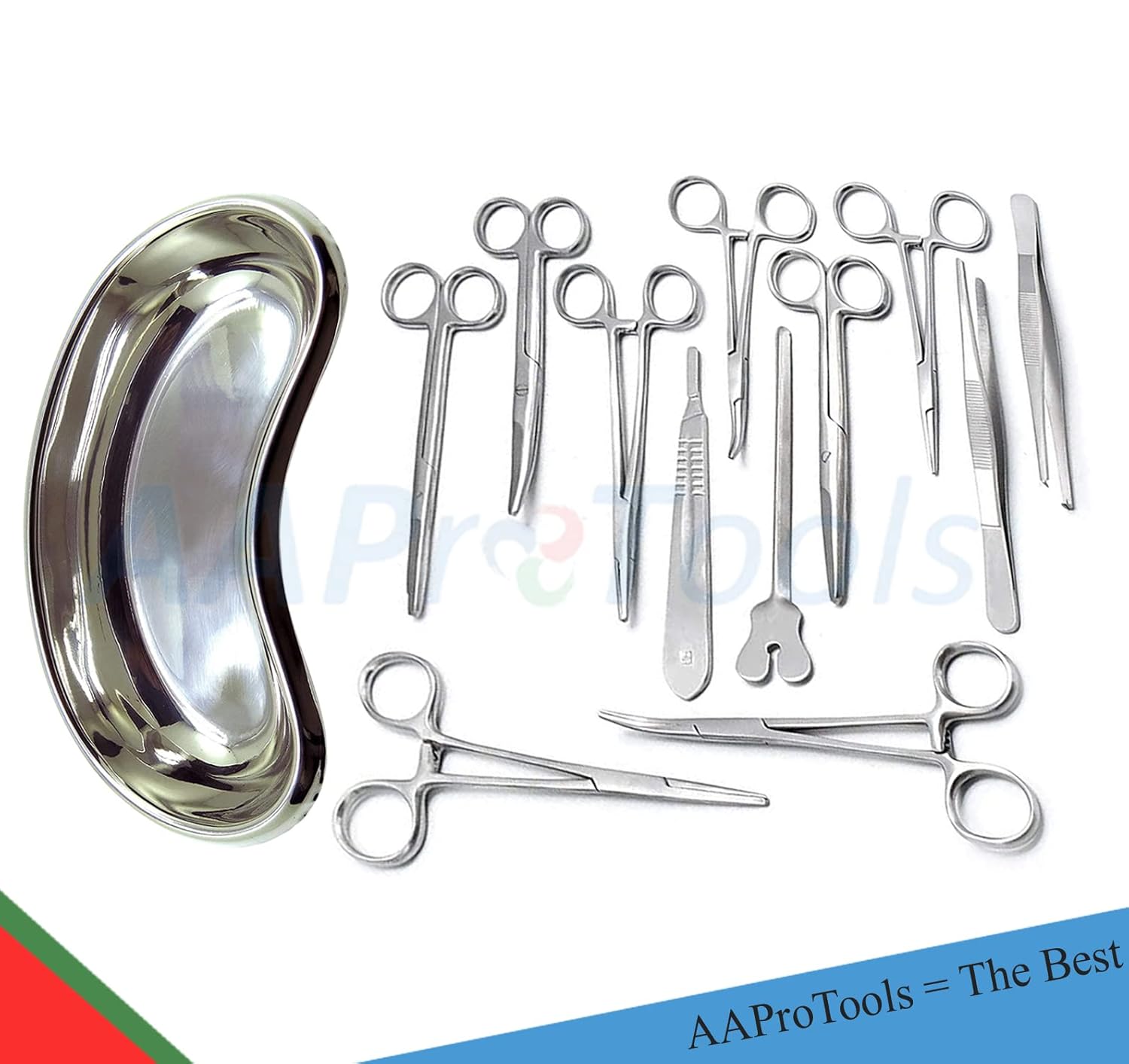 Juego de 13 piezas Basic Surgi Pinzas Tijeras Aguja Titular Kit Acero Inoxidable Riñón Bandeja Instrumentos DS-1465