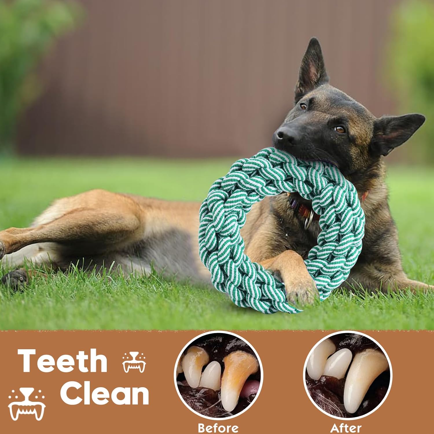 Juguetes de cuerda para perros, juguetes chirriantes para cachorros, perros pequeños, medianos y grandes, juguete de peluche de oso para perros,