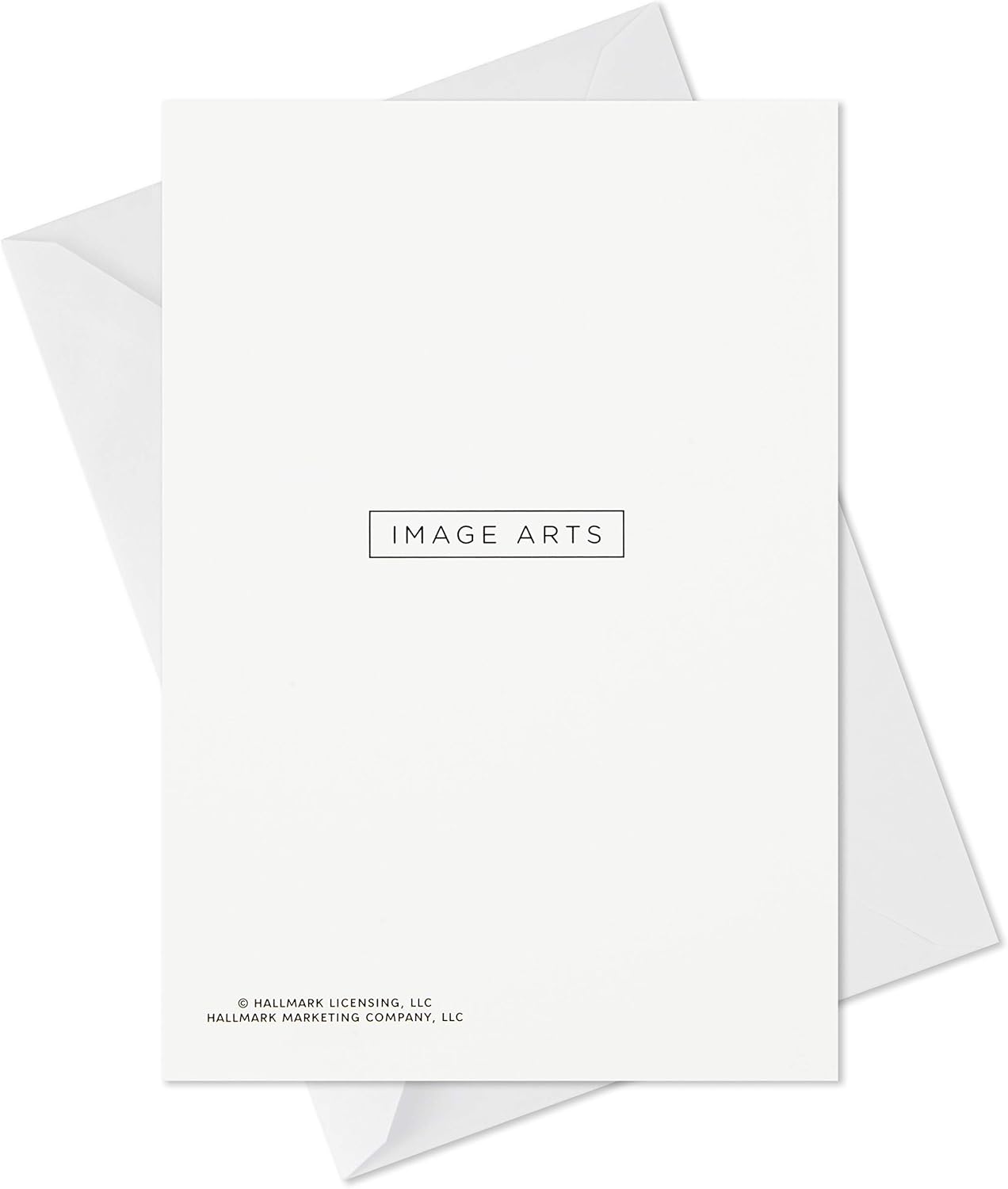 Hallmark Image Arts – Surtido de tarjetas de Navidad religiosas en caja, diseño de Belén pintado (4 diseños, 24 tarjetas y sobres)