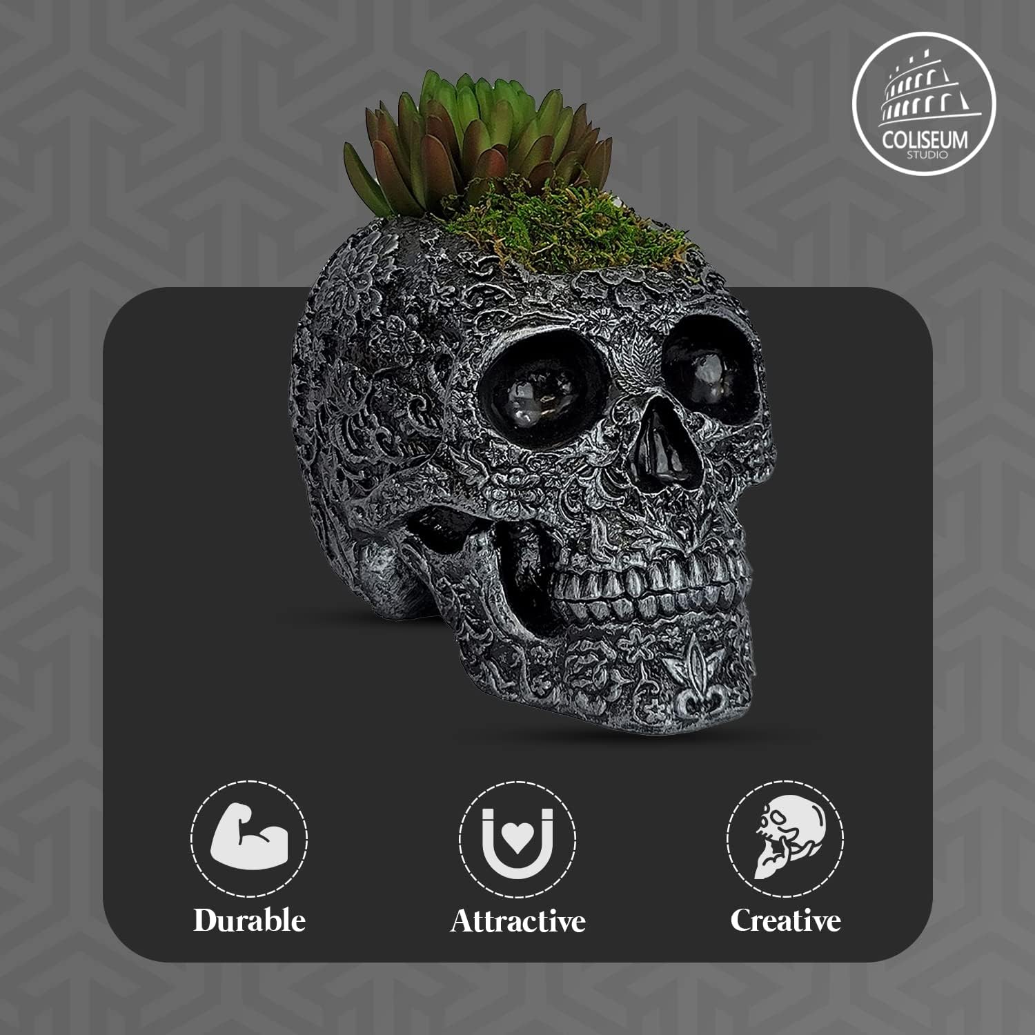 Coliseum Studio Inc Maceta de calavera  Decoración de calavera  Maceta con drenaje  Maceta de calavera  Para suculentas y cactus  Interiorexterior