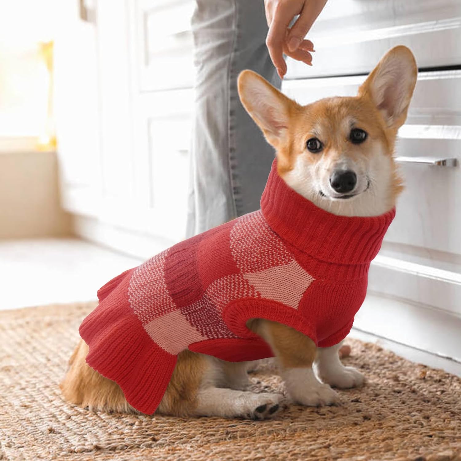 QBLEEV Vestido de suéter para perros pequeños, suéteres para cachorros, ropa de punto, suéteres para mascotas, suéteres cálidos de invierno para