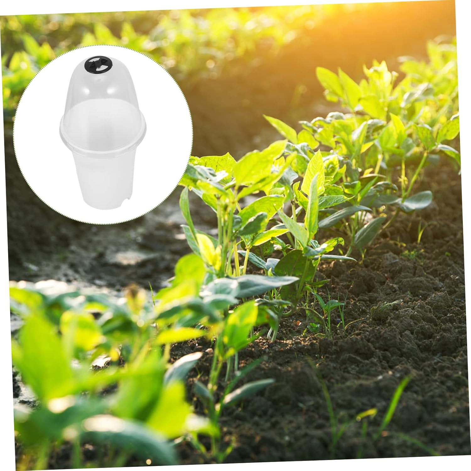 Yardwe 6 piezas de cubierta de asfixia para suculentas, bandeja de plástico, para suculentas, cubierta protectora de plantas de plástico, bandejas