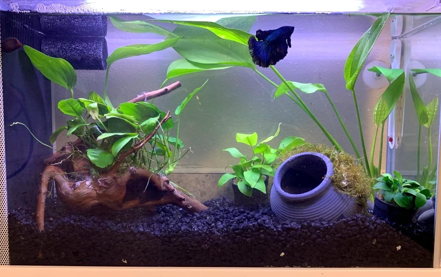 Tarro de cerámica para decoración de acuario, cueva de cría de camarones, adornos para pecera de peces betta, cíclidos de camarones Amano para