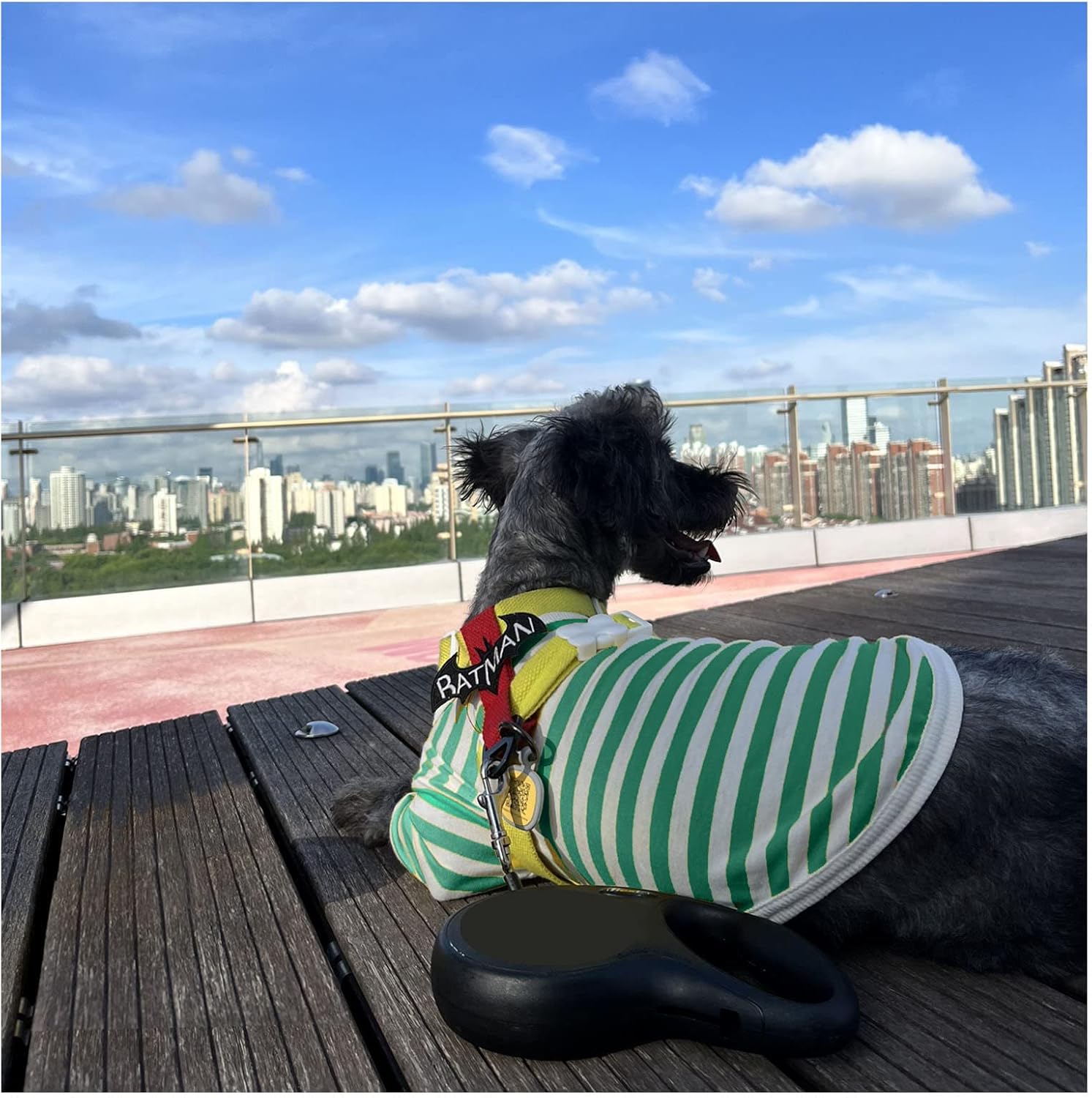 Camiseta a rayas para perro, ropa de moda para mascotas, camisetas de algodón, chalecos elásticos, suaves y frescas para cachorros y gatitos