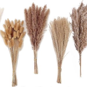 Decoración de hierba seca de las pampas, 120 piezas de hierba de las pampas con colas de conejo, ramo de hierba de caña para bodas, flores bohemias, Decoración de hierba seca de las pampas, 120 piezas de hierba de las pampas con colas de conejo, ramo de hierba de caña para bodas, flores bohemias,