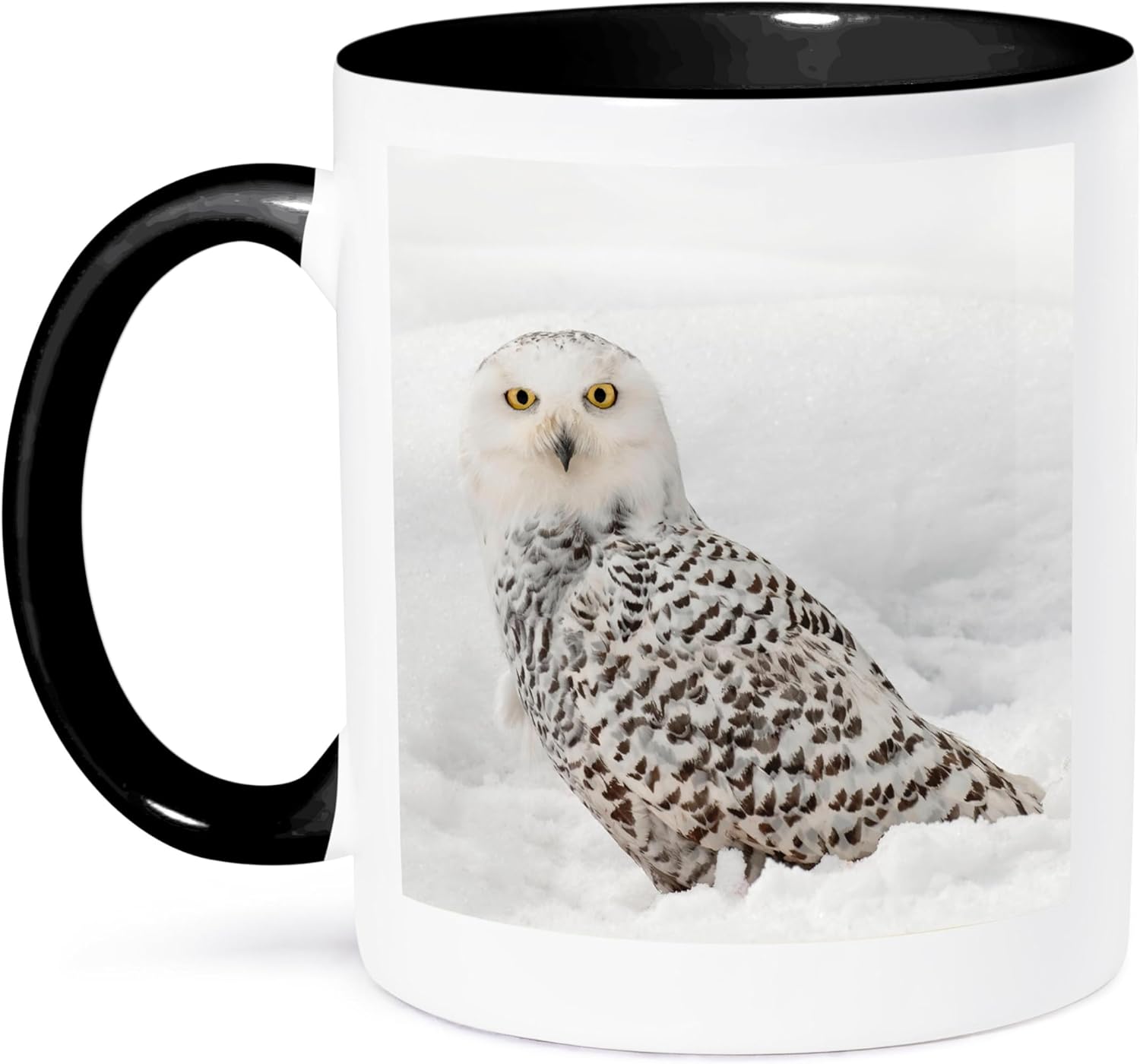 3dRose Danita Delimont – Búhos – Búho Nevado en la nieve, Montana – Tazas (mug_279187_4)