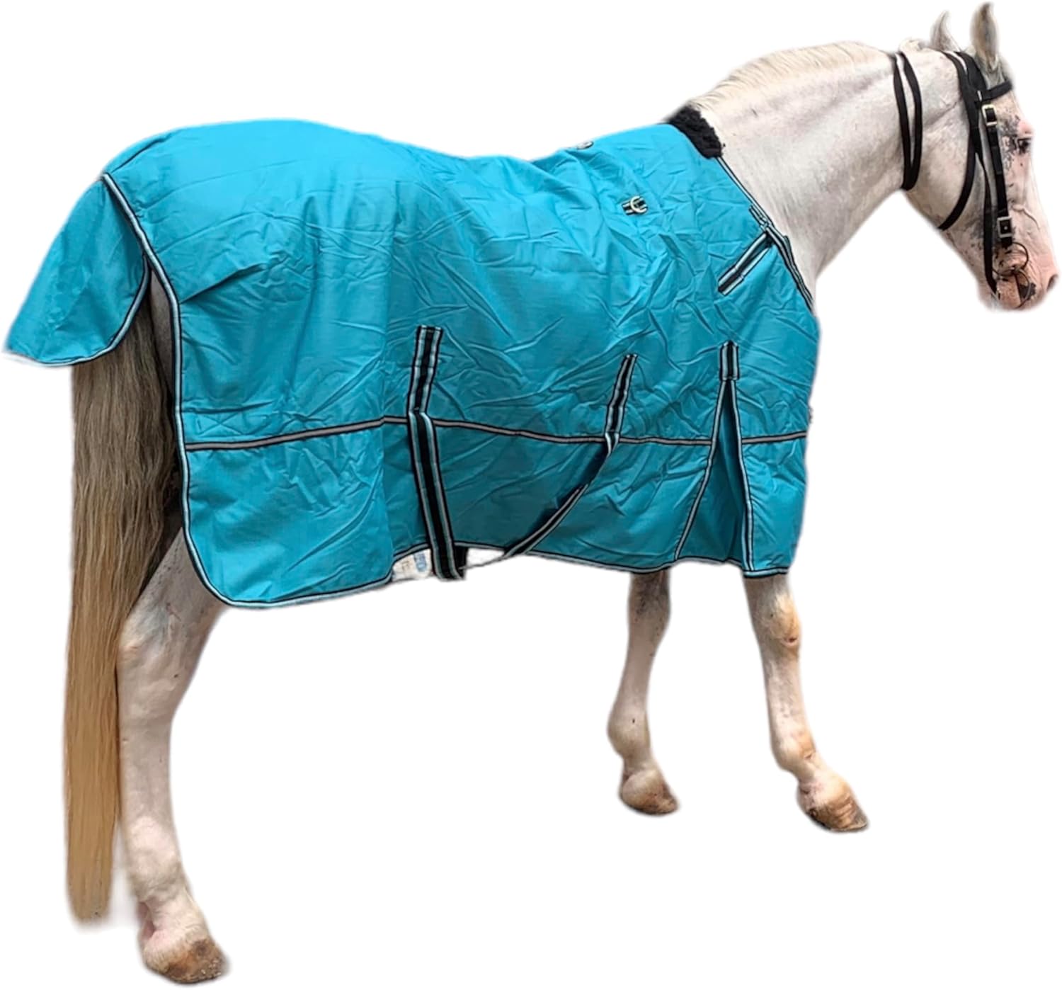 Majestic Ally Manta 1200D Ripstop Horse Turnout de 250 GSM relleno (turquesa, 80 pulgadas)