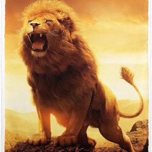 Manta Sherpa de león rugiente de 50 x 60 pulgadas, manta de sherpa con estampado de animales, manta súper suave y mullida de forro polar grueso y Manta Sherpa de león rugiente de 50 x 60 pulgadas, manta de sherpa con estampado de animales, manta súper suave y mullida de forro polar grueso y