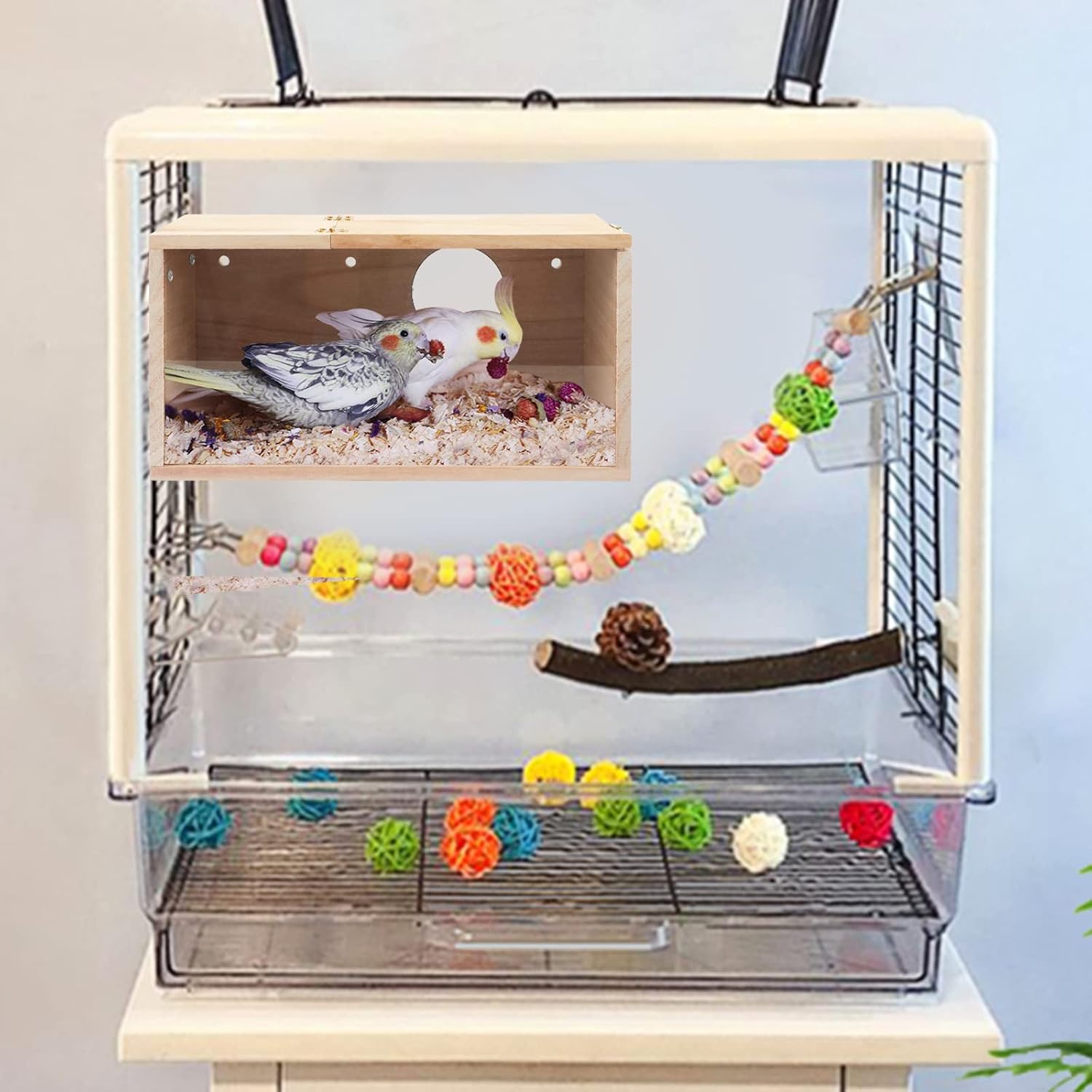 Rypet Caja de nido de periquitos con diseño transparente, caja de cría de nido de pájaros con perca de madera para pájaros de cacatúa, agapornis,