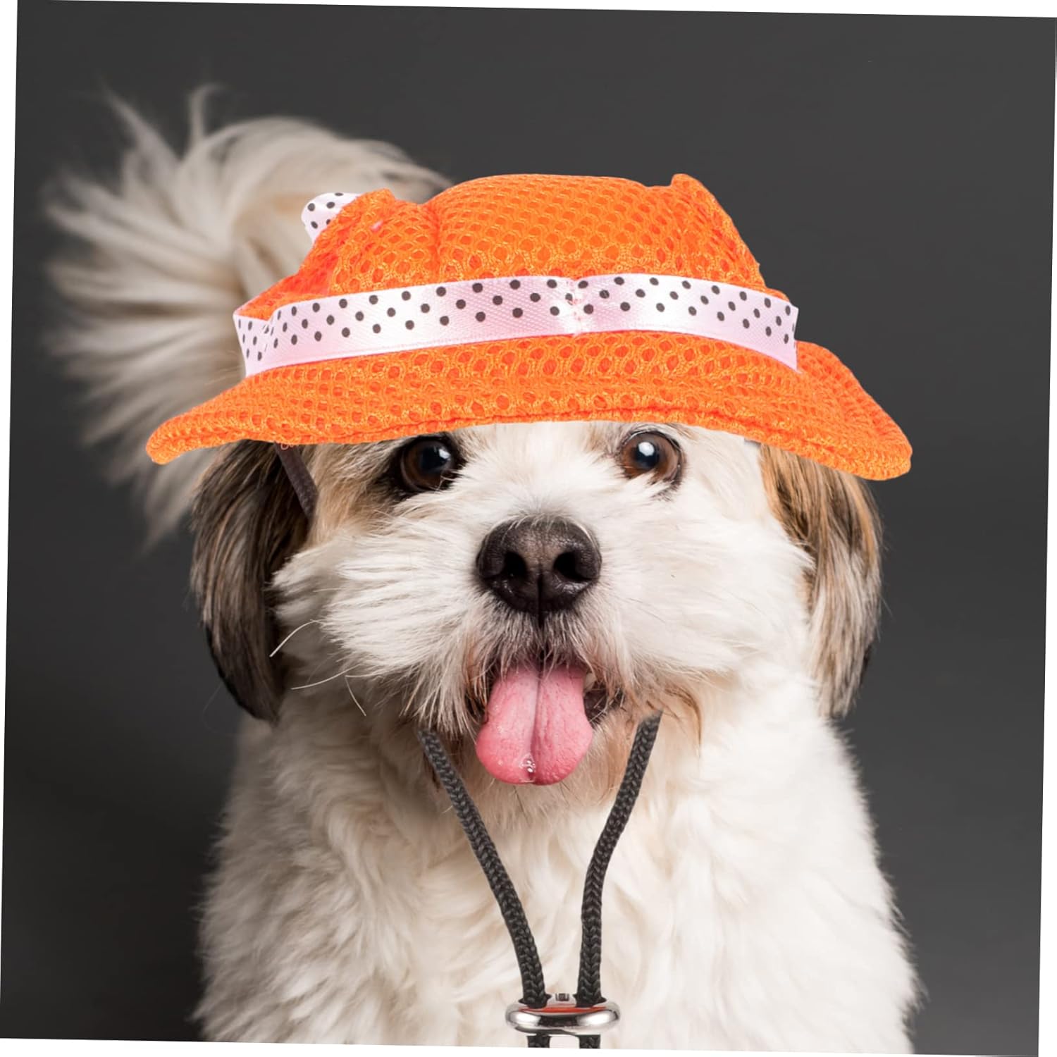 MERRYHAPY 3 piezas de sombrero de princesa para mascotas, gorras de béisbol para perros, sombrero encantador para perro, traje de baño para perro,