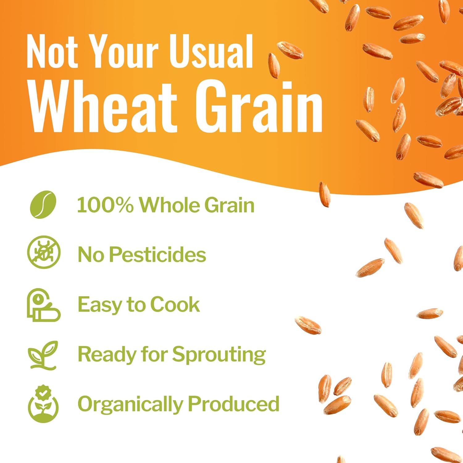 Grand Teton Ancient Grains – Bayas de espelta 100% orgánicas, bayas enteras de espelta sin moler, grano orgánico Farro cultivado en Estados Unidos,